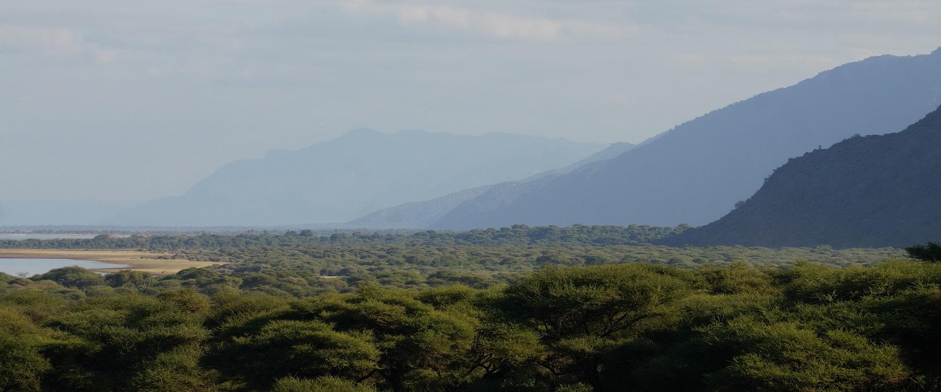 Savanna plains with distant ridgeline, scenic wildlife safari drive