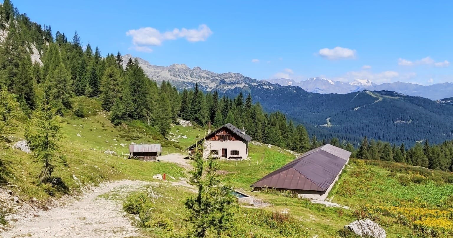 Mountain Hiking at Andar per Monti - Malga Vagliana in Val di Sole