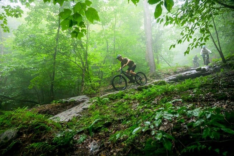 Mountain Biking Skills Clinic at Wheelerville Trails