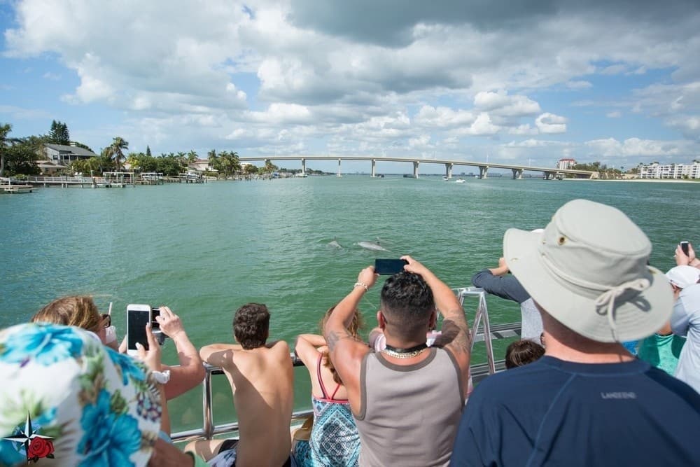 Water-Activities: Sirata Dolphin Watch by Suncoast Watersports