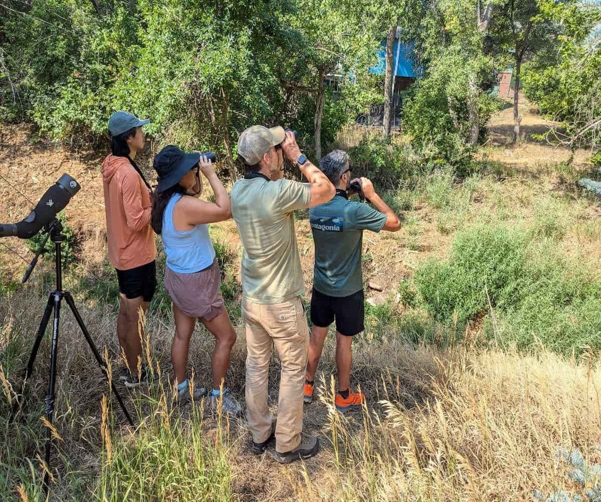 Front Range Half-Day Birding: Custom Denver Wildlife Tour photo 2