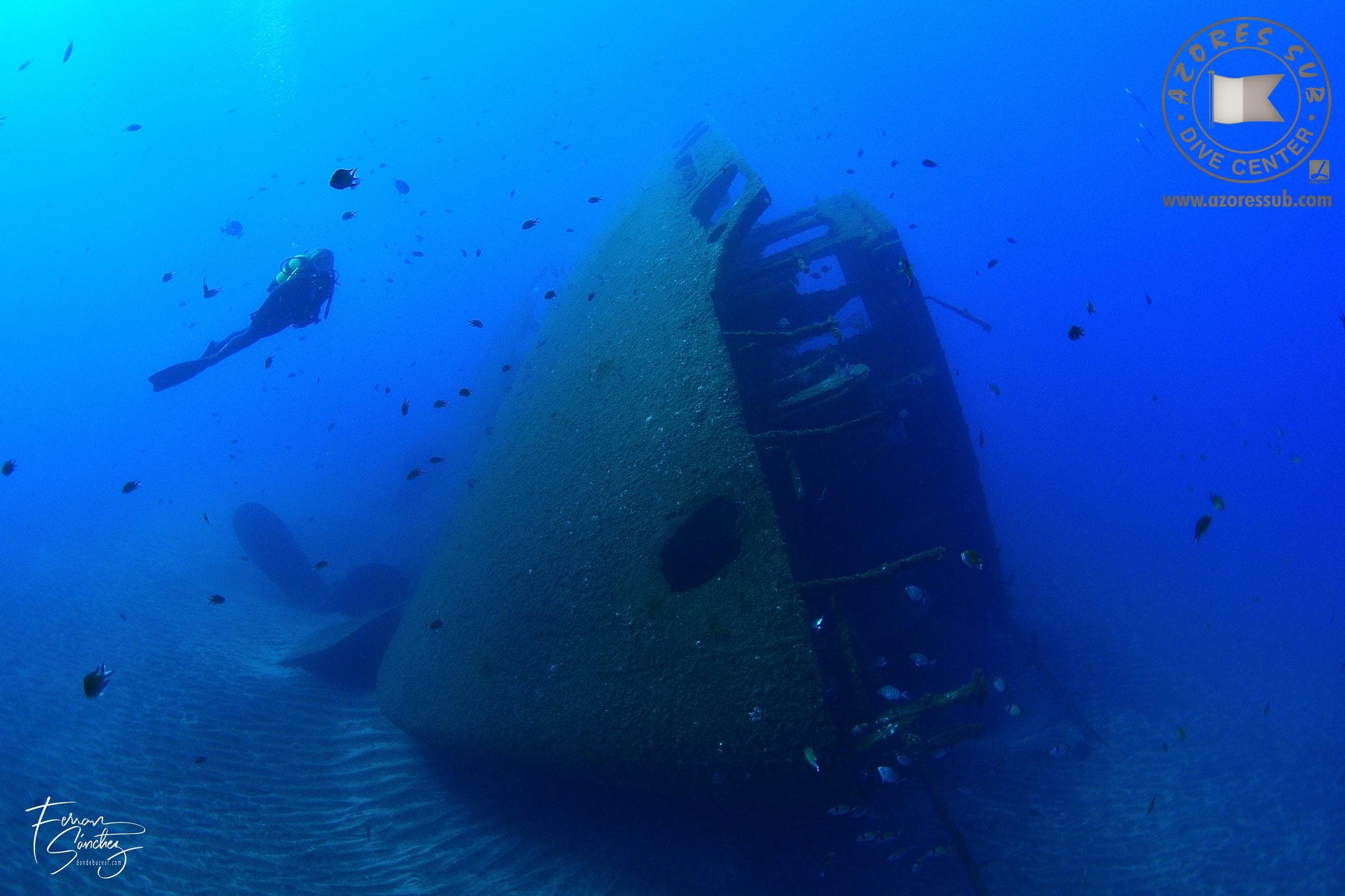 Diving Adventures with Azores Sub on São Miguel