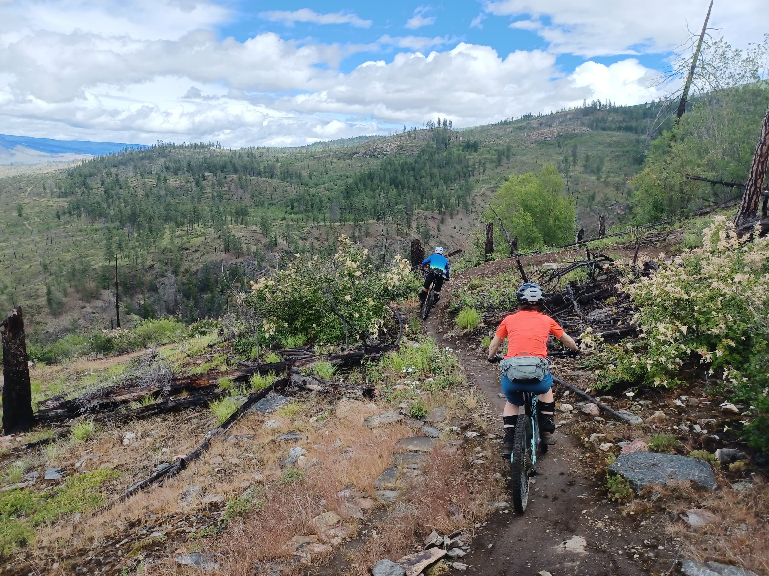 Gillard Gravity Experience: Kelowna's Steep Technical Singletrack Coaching