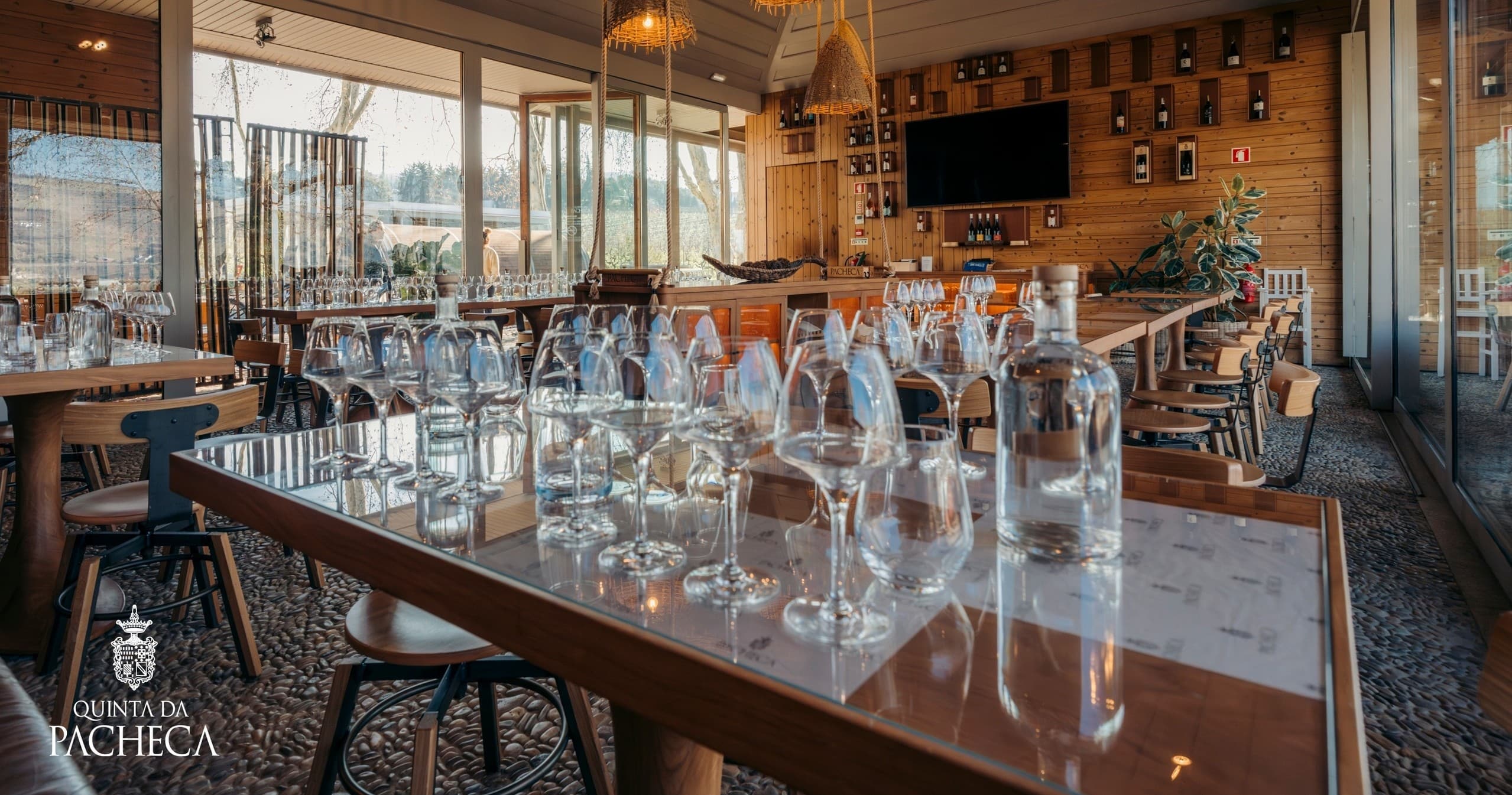 Guided Wine & Vineyard Tour at Quinta da Pacheca in Lamego