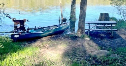Parked canoe at lakeshore near picnic bench, calm shore scene