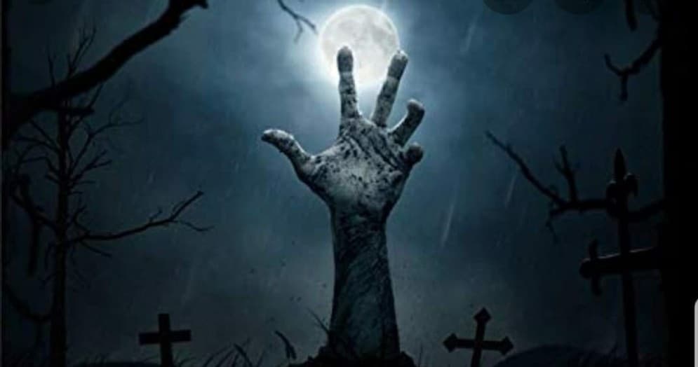 Outdoor Adventure Business: Haunted Maze's Thrilling Drive