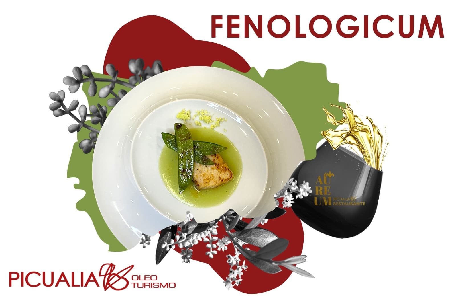 Discover Fenologicum: A Unique Olive Oil Experience in Bailén, Spain