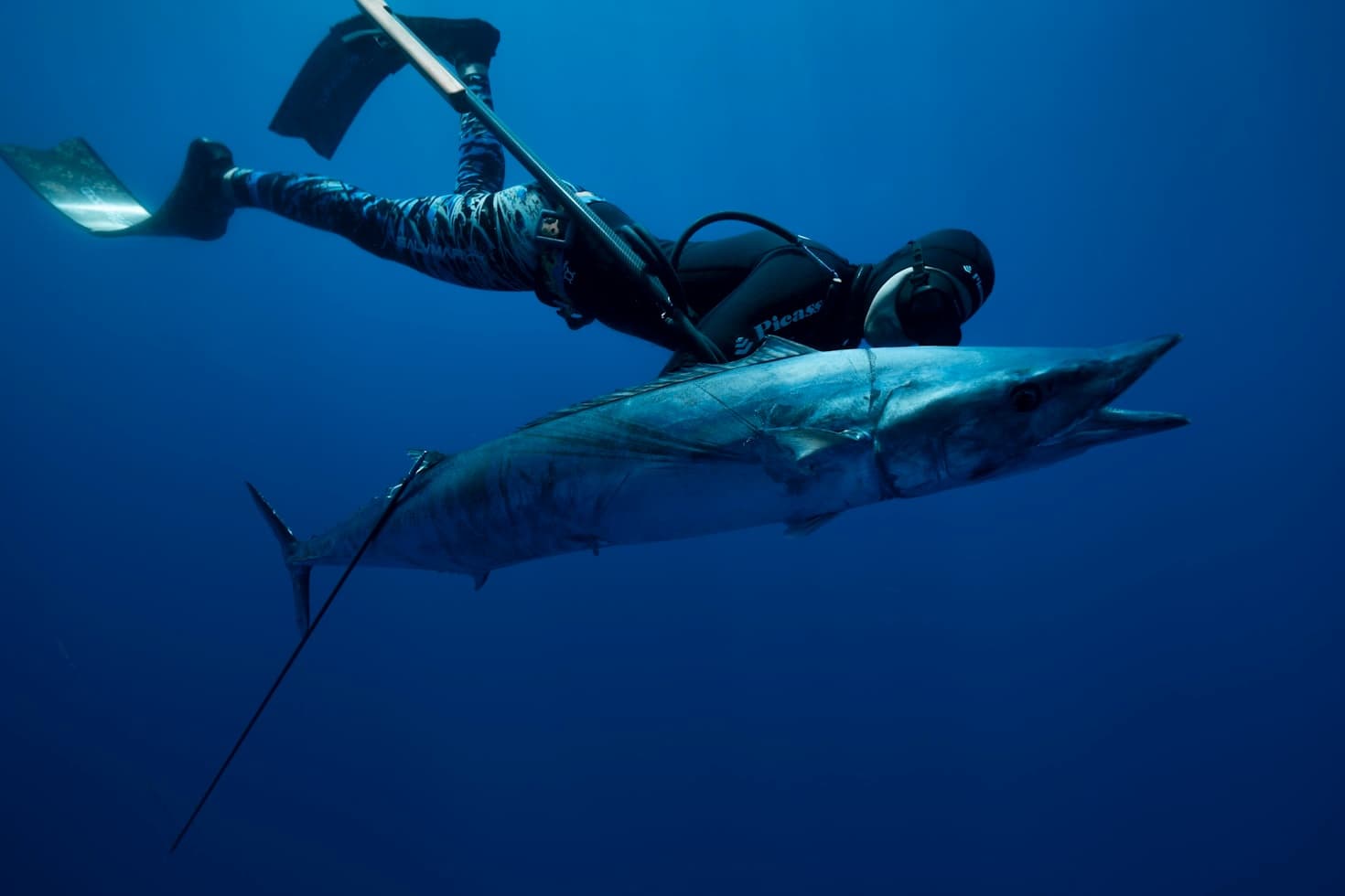 Spearfishing in Hudson with Fish and Trips FL