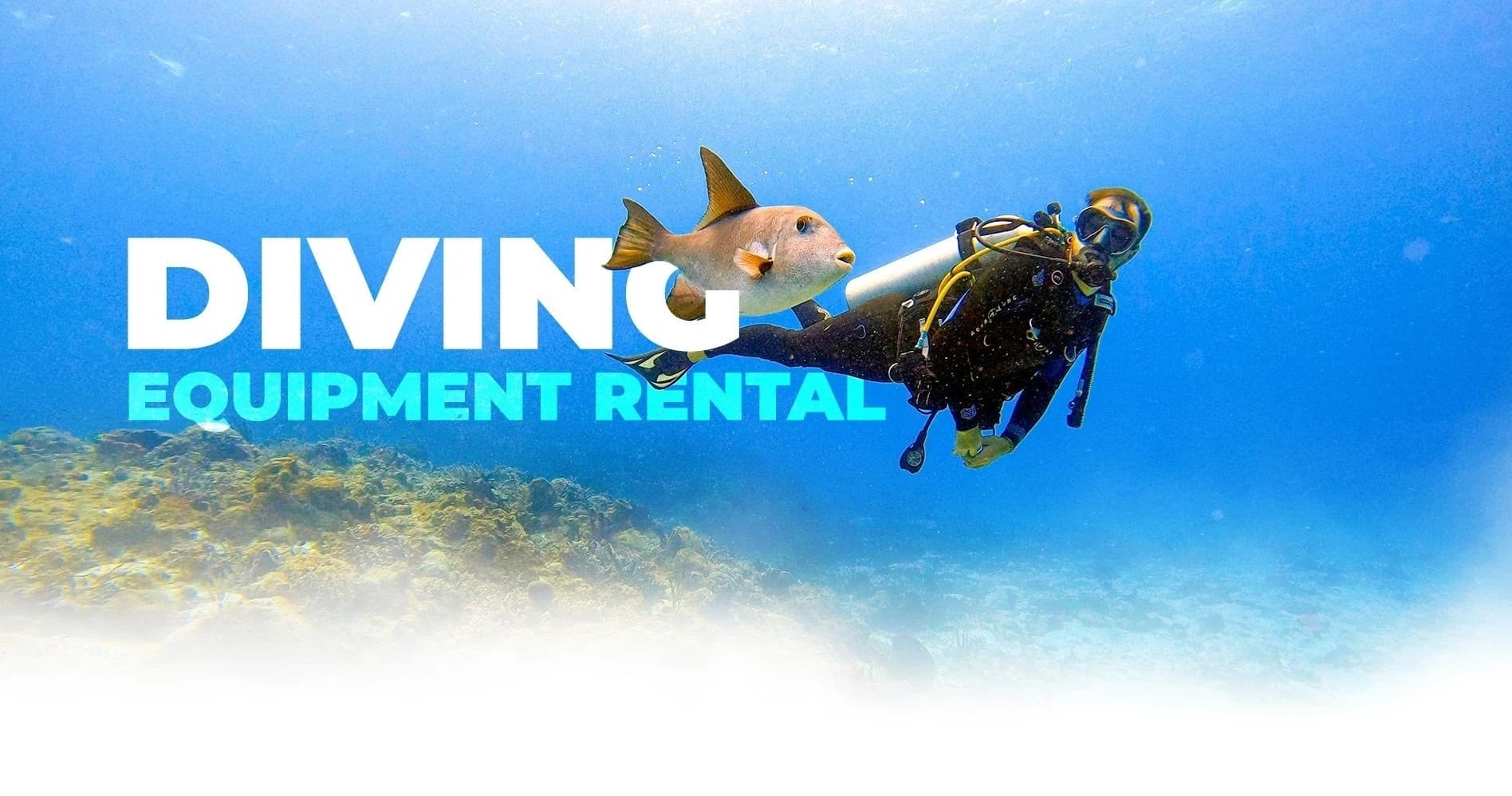 Water-Activities at Punta Mita Ocean Sports — Dive Gear Rental Success