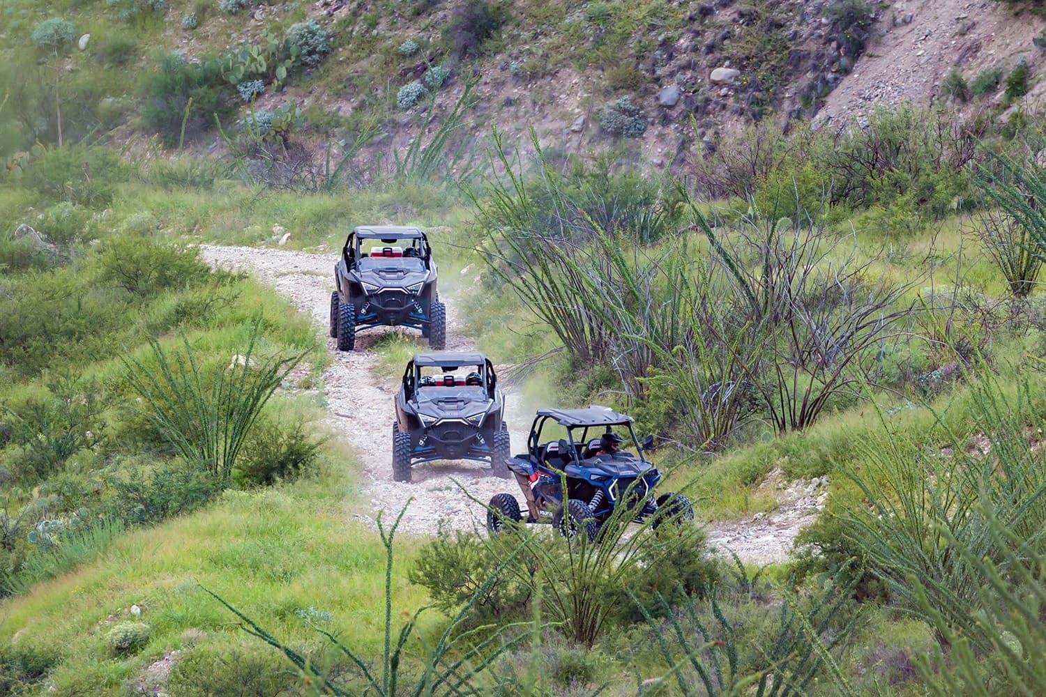 Wacky Wednesdays ATV Adventure in Oracle, Arizona