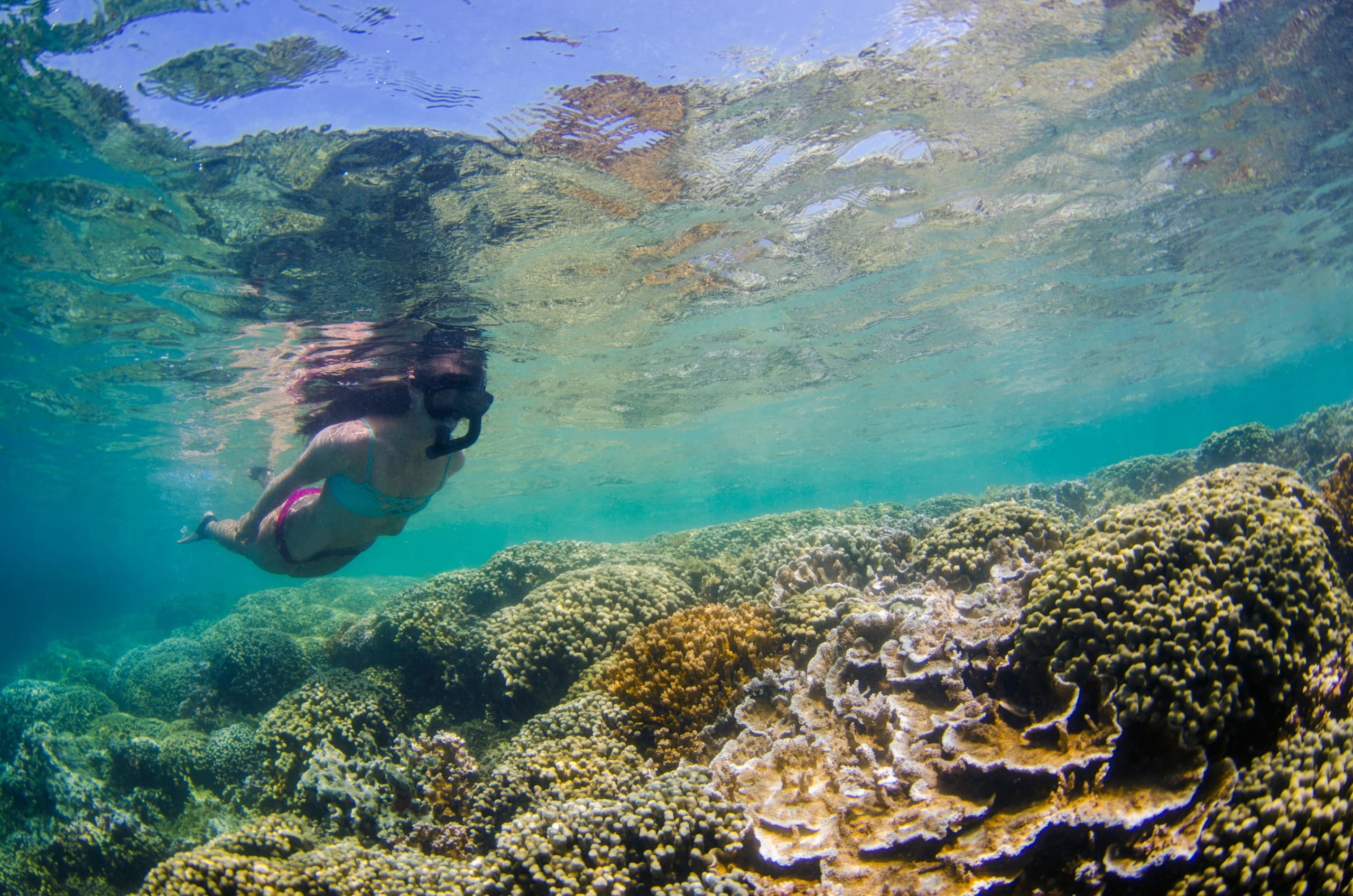 Snorkel Gear Rental in Kaneohe Bay, Hawaii