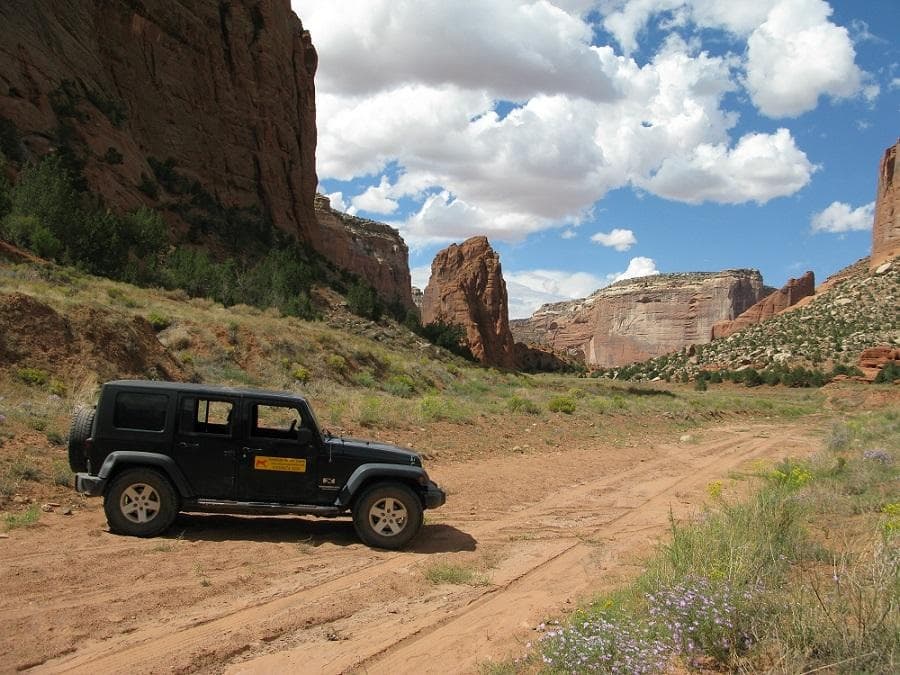 Antelope House Tours fleet