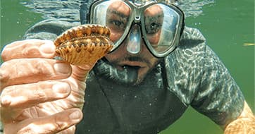 Scalloping Charters in Crystal River, Florida