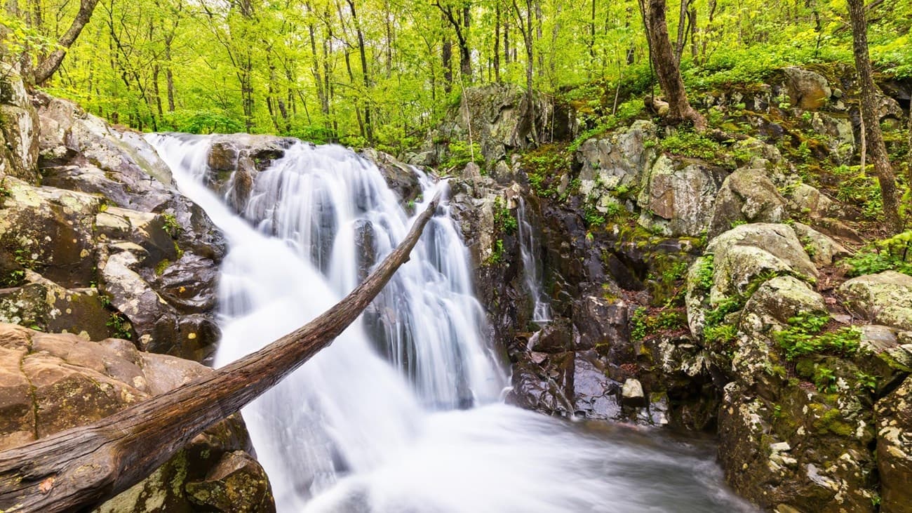 Rose River Trail & Dark Hollow Falls Adventure in Virginia