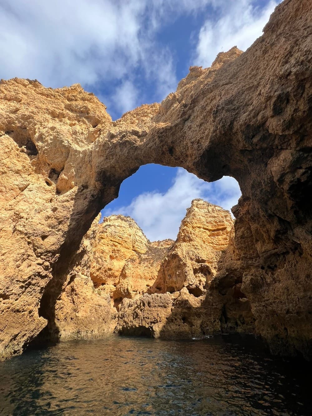 Wildlife & Water Activities with Capitão Nemo Algarve