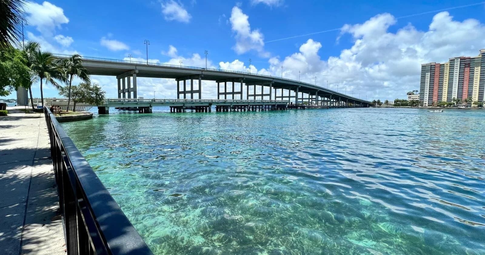 Blue Heron Bridge Day Dive: Shore-Access Macro Diving in Clearwater, FL