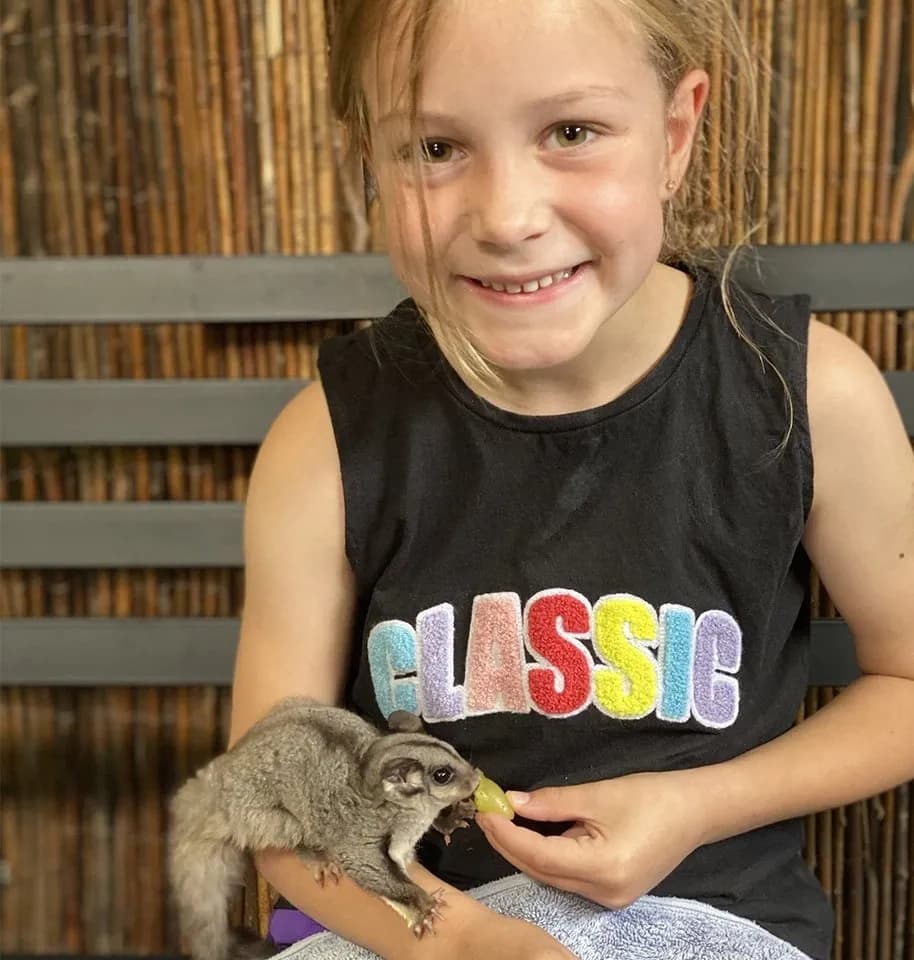 Wildlife & Animal Encounters at Wings Wildlife Park