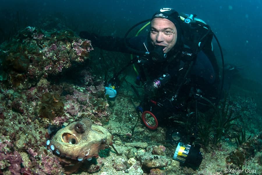 Mediterranean Diving at Nautic Parc Costa Daurada