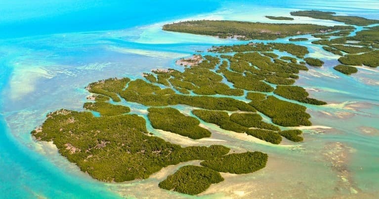 Aerial view of mangrove islands and turquoise marine flats