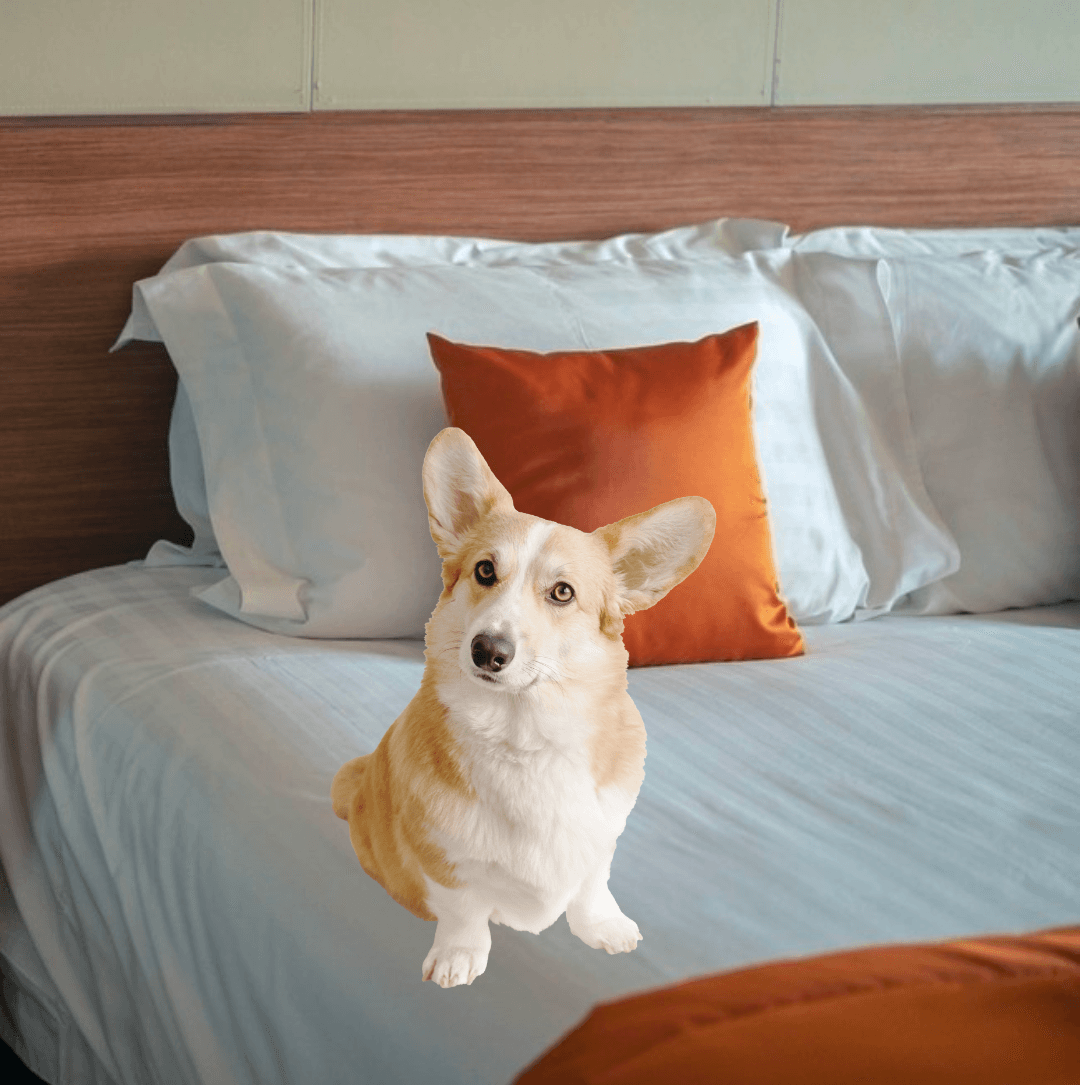 Pet Friendly Double Bed Motel Stay in Sullivan, Missouri