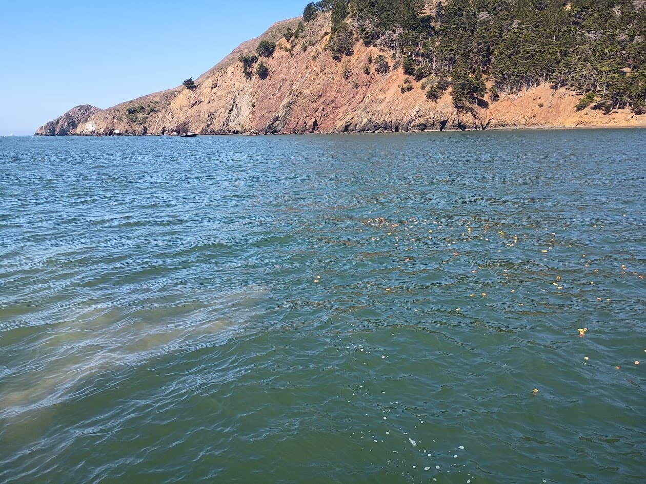 Private Memorial and Ash Scattering on San Francisco Bay — A Quiet Sail from Sausalito photo 3