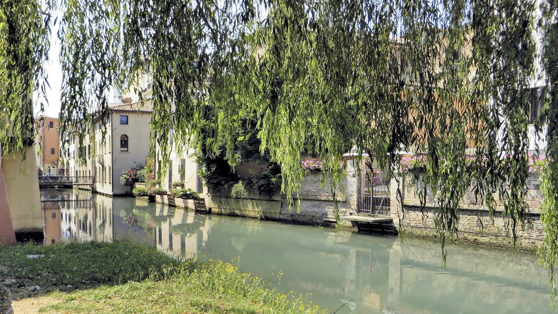 Secret Treviso Walks with Beescover