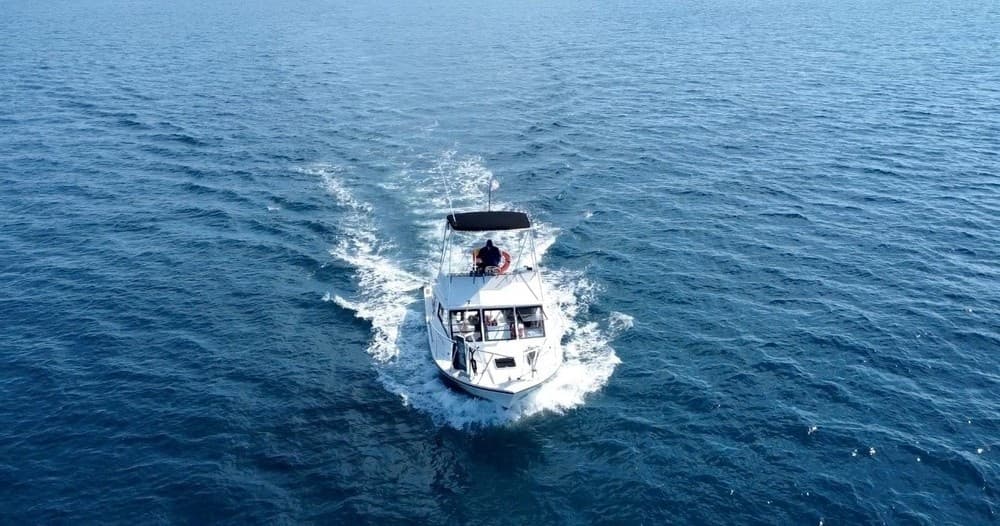 Snorkel & Dive with Squalo Divers in Miami