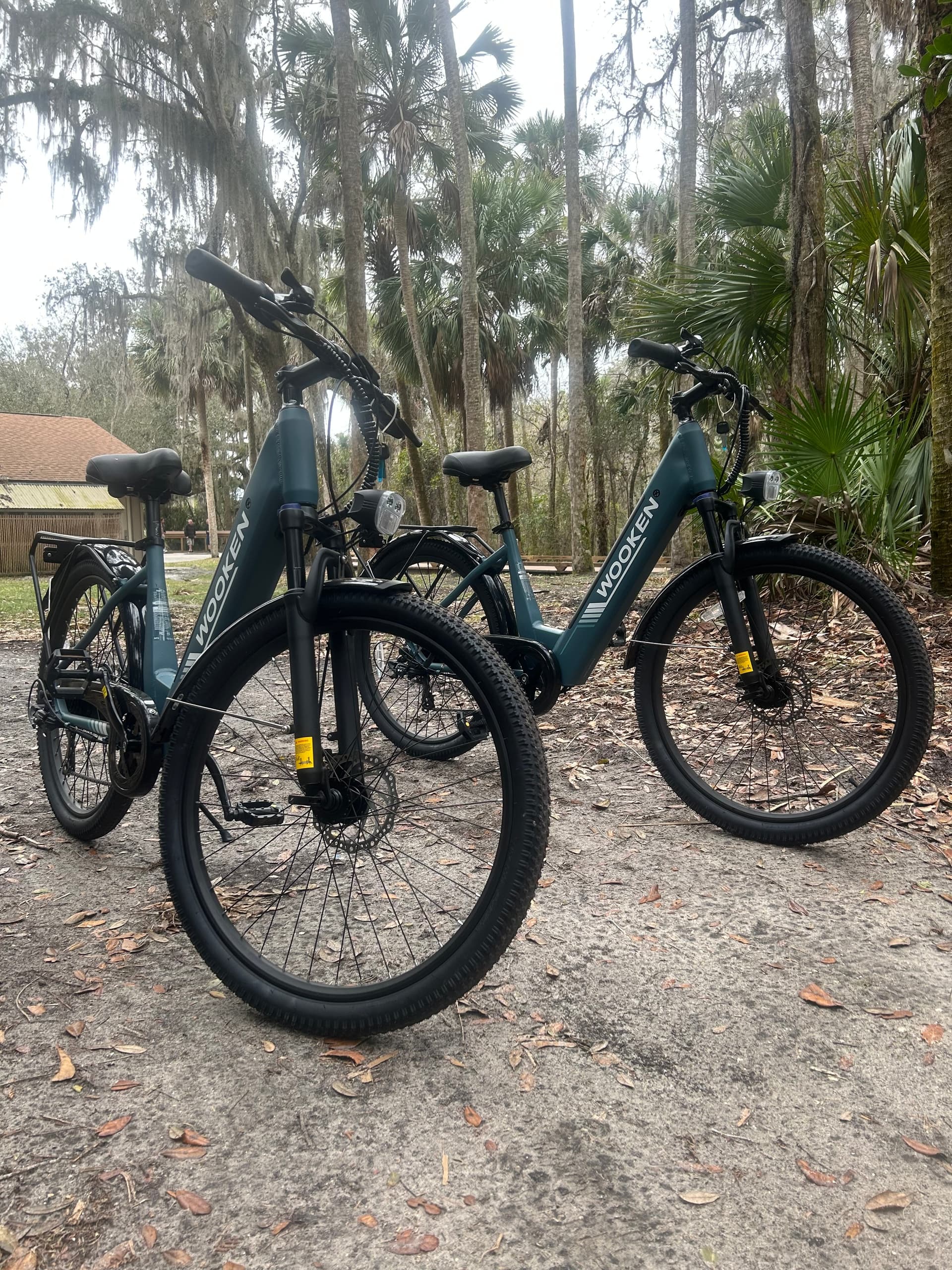 e-bike-rentals-blue-springs-state-park-manatees-live-oaks photo 2