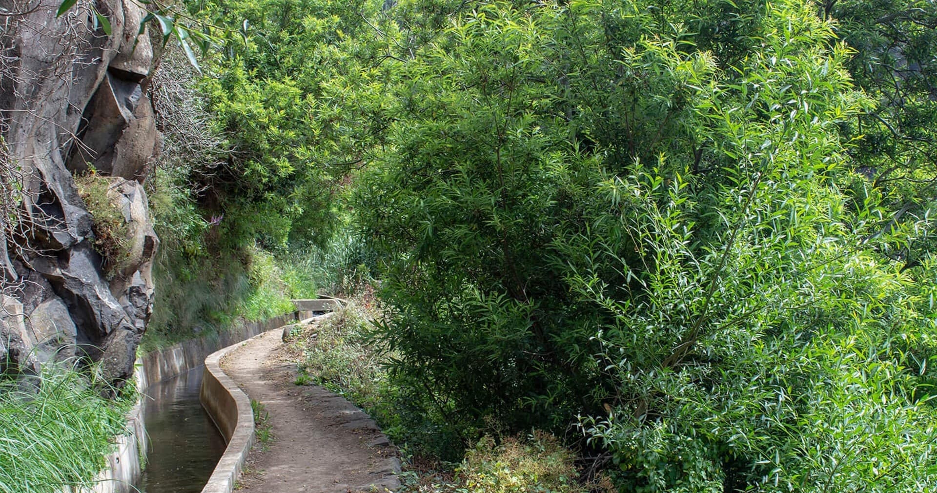 Levada Vale Serra D'Água Hike with Madeira Happy Tours