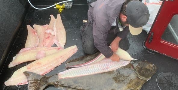 Experience the Ultimate Halibut Fishing Adventure in Homer, Alaska