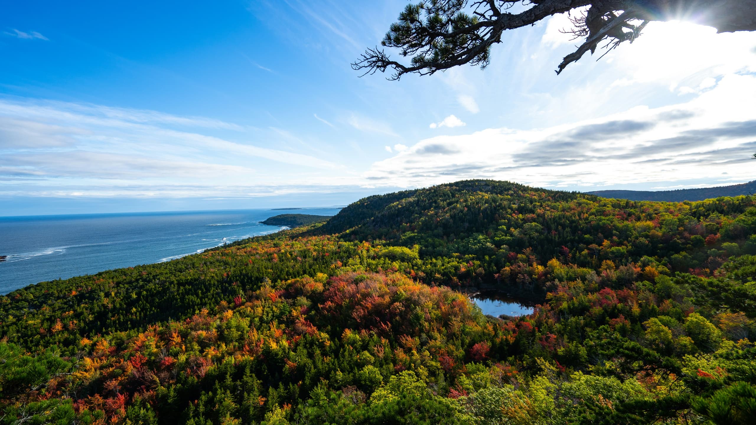 Private Full-Day in Acadia: Cadillac Mountain, Thunder Hole & Jordan Pond photo 2