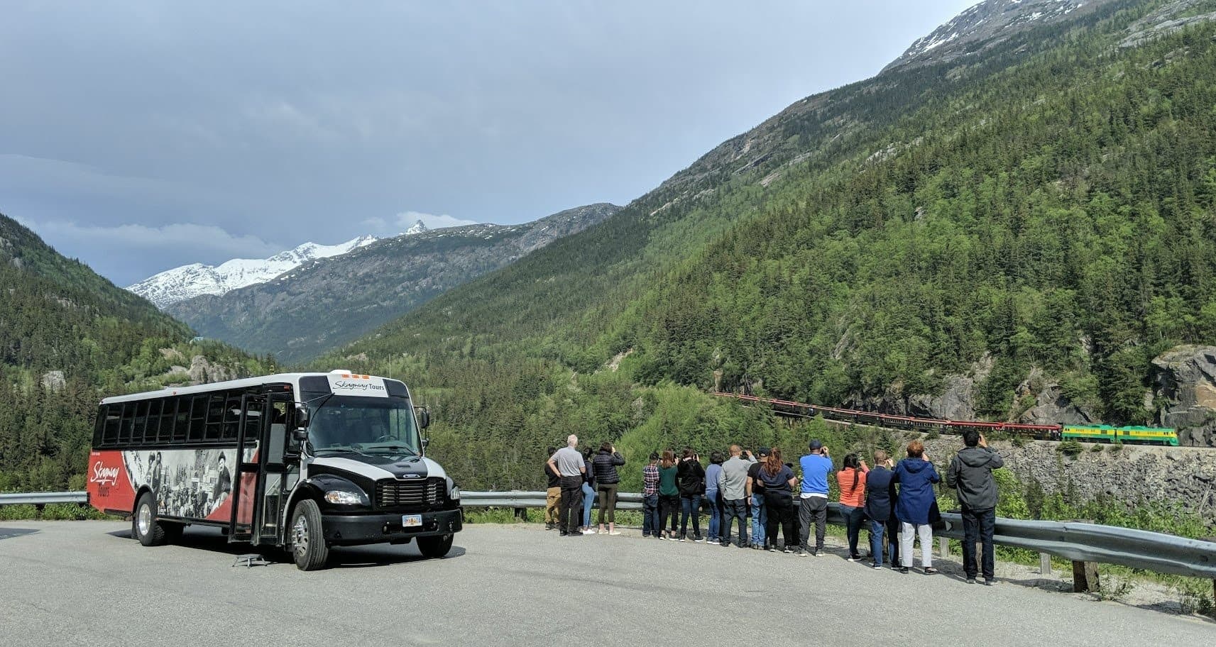 Yukon Suspension Bridge & Puppies Trip with Skagway Tours