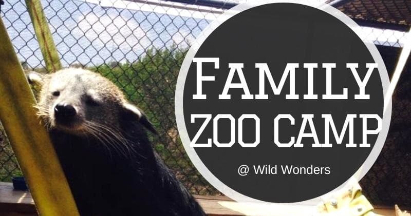 Family Zoo Camp Adventure in Bonsall, California