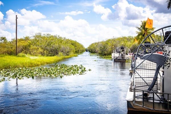 Airboat tour skimming Everglades waterways with vegetation