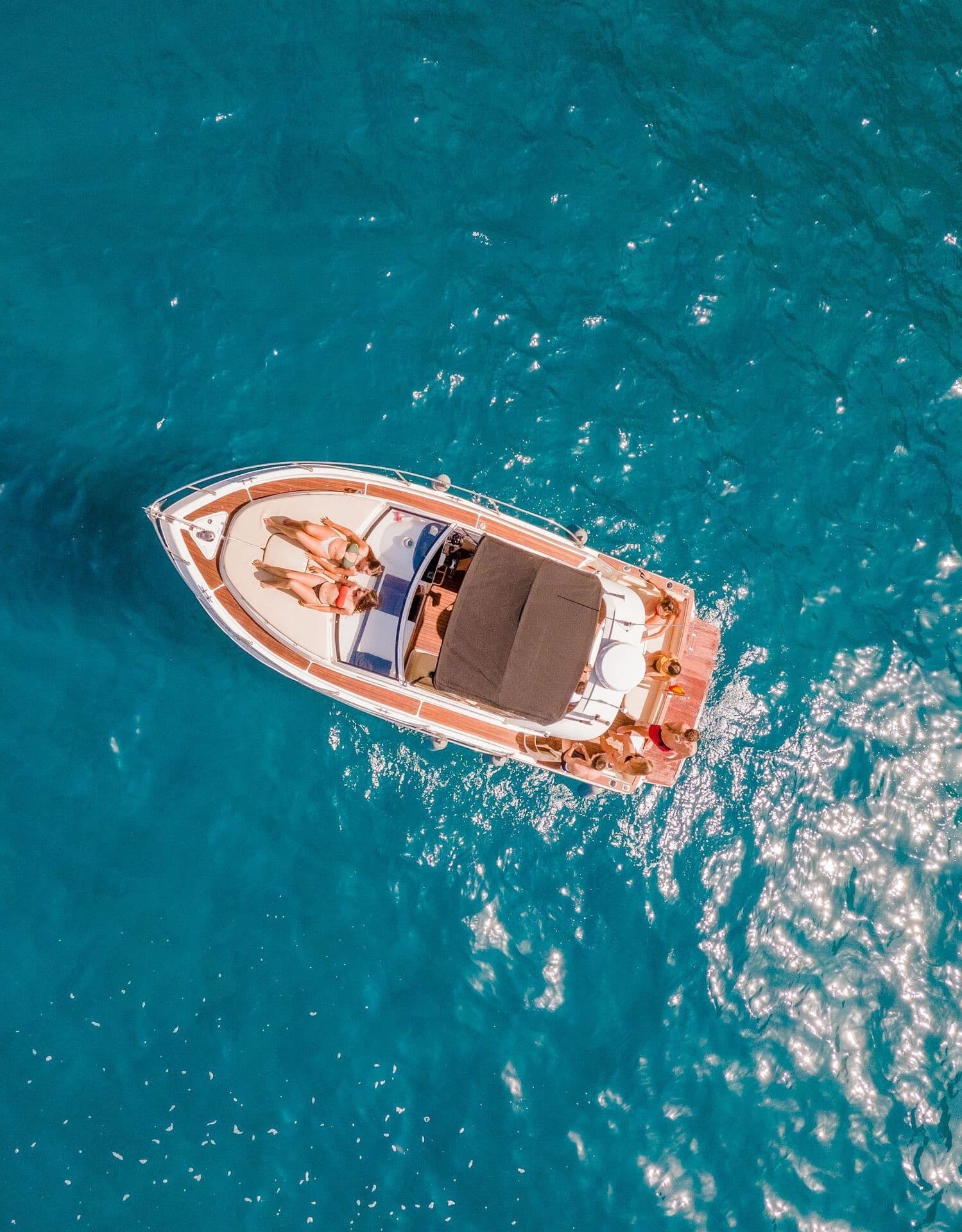 Bellamar Dolphin and Turtle Cruise from Adeje: Small-Group Snorkel Adventure