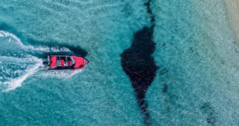 Two-Hour Marathonisi Sea Ride to Turtle Island in Zakynthos