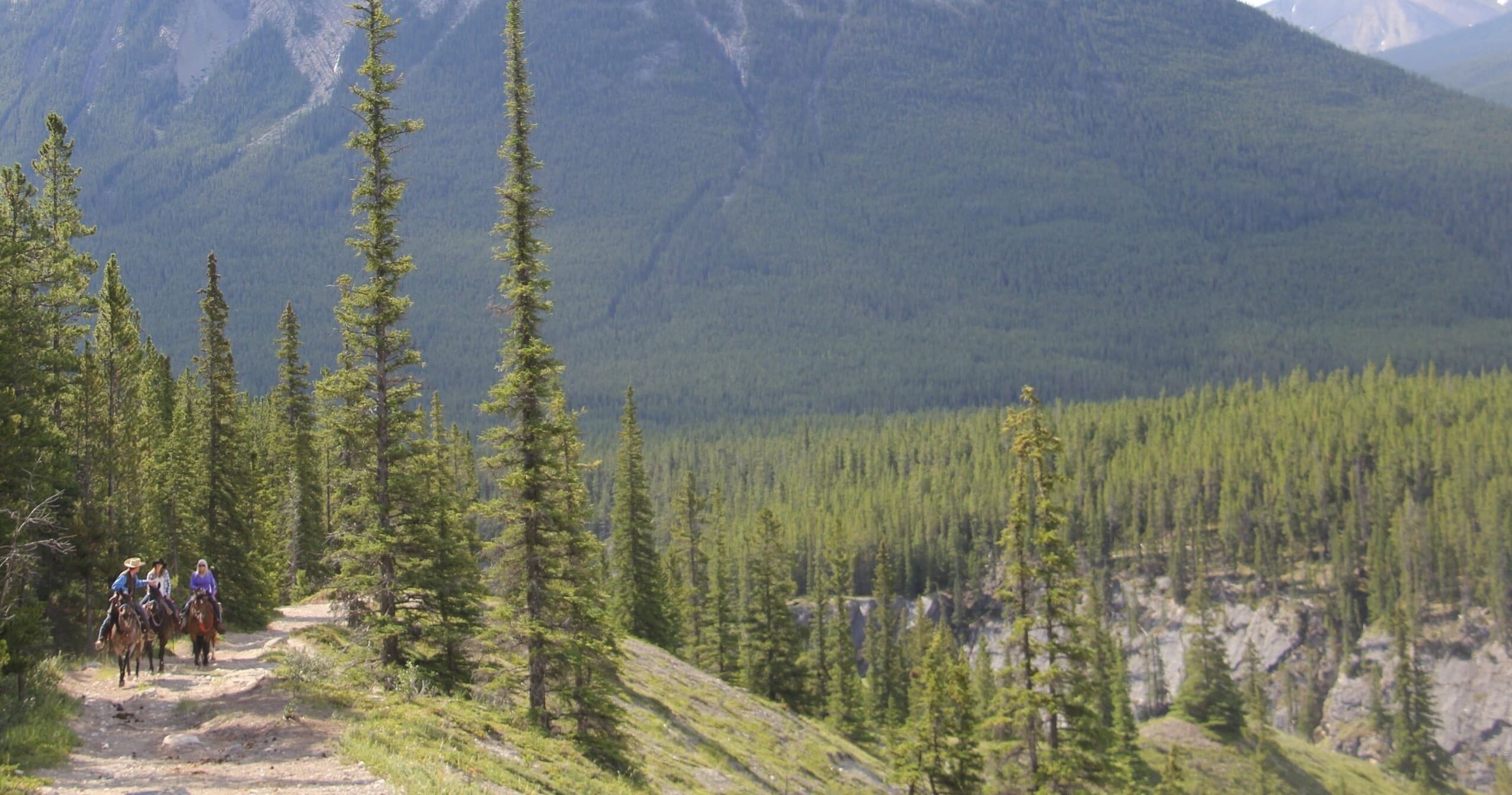 Horseback Canyon Ride with McKenzie's Trails West in Alberta