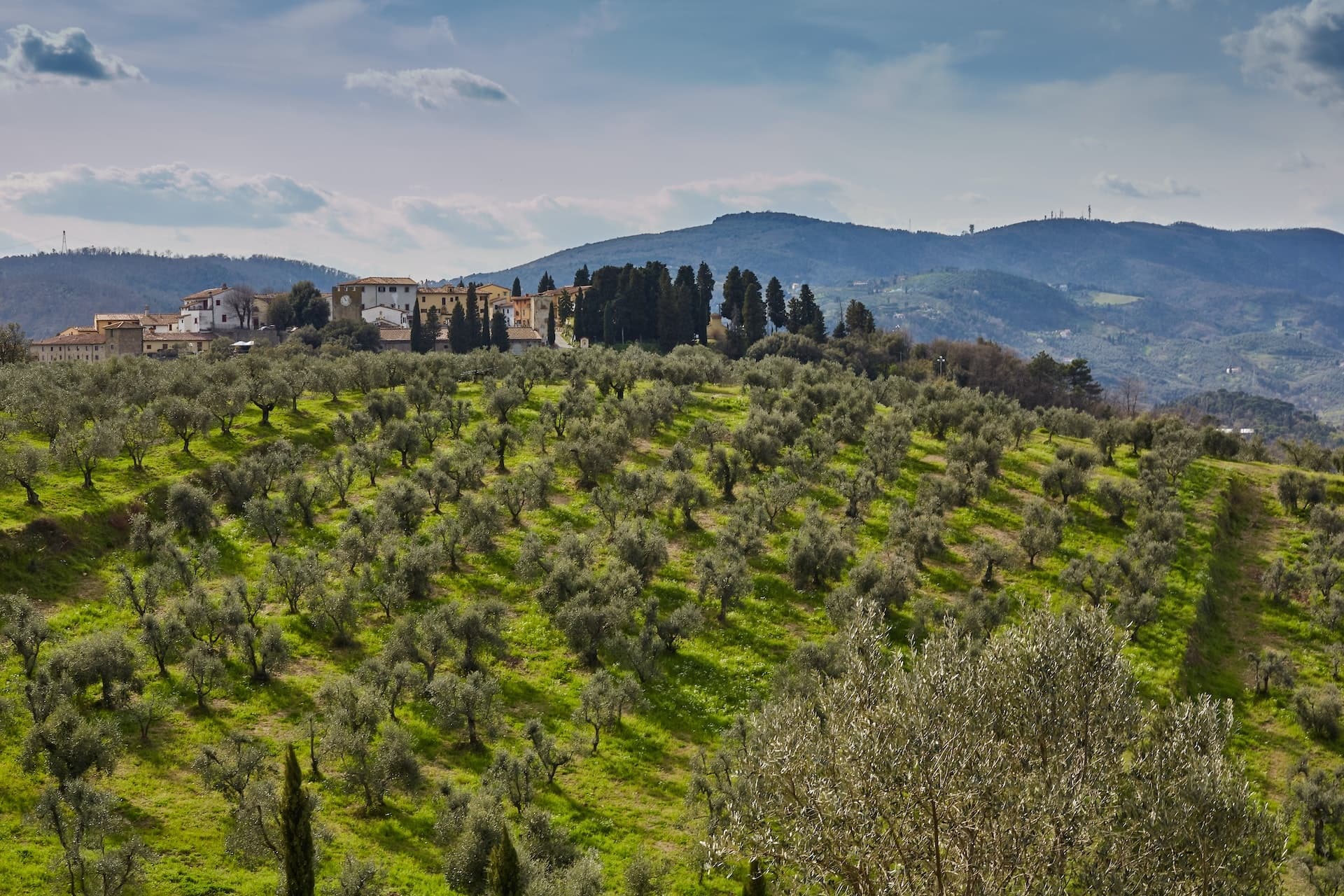 Tuscany Wine Tour on Amalfi Coast by Discovery Guided Tours