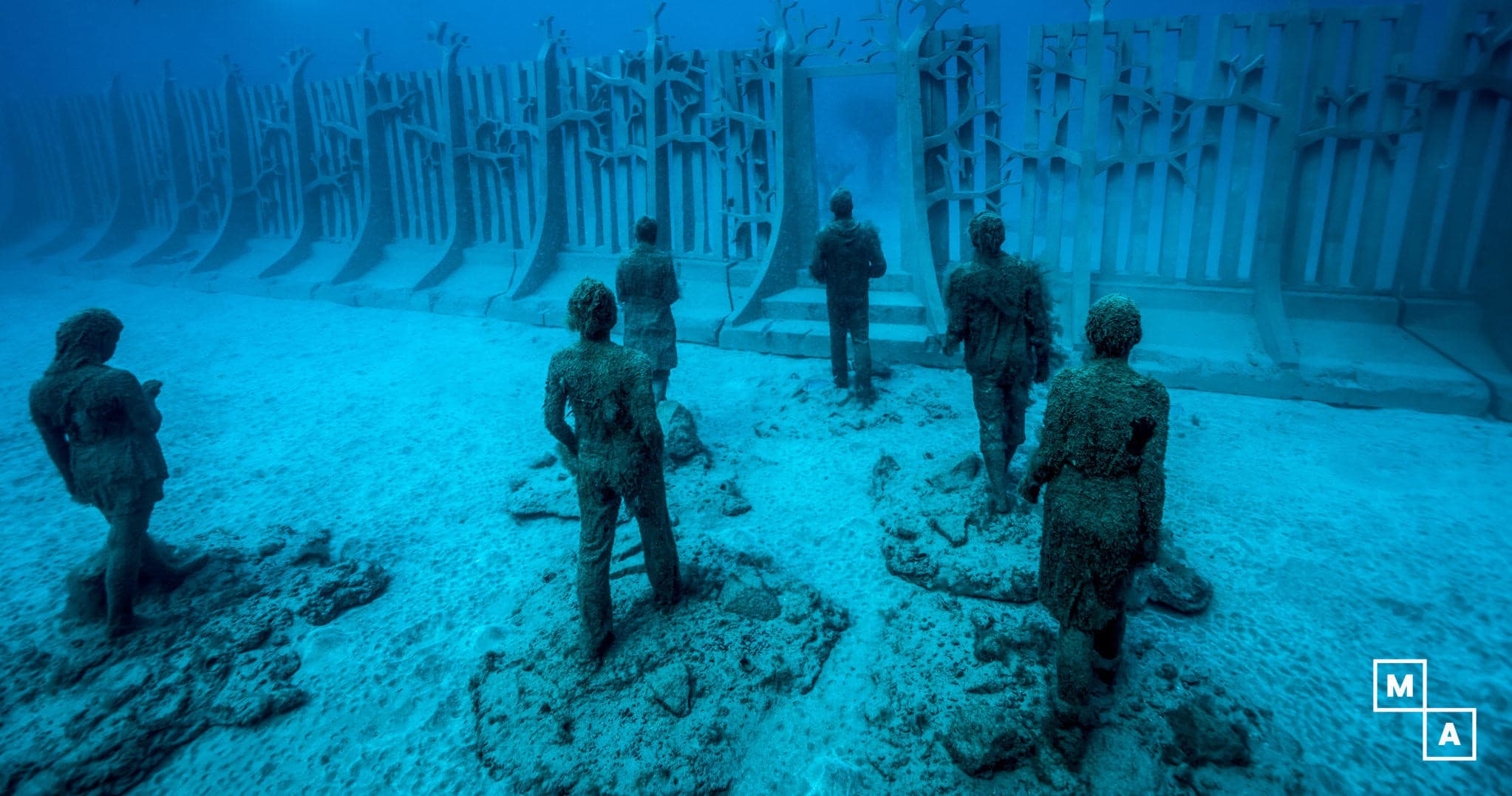 Underwater Diving at Museo Atlántico with Pura Vida Diving