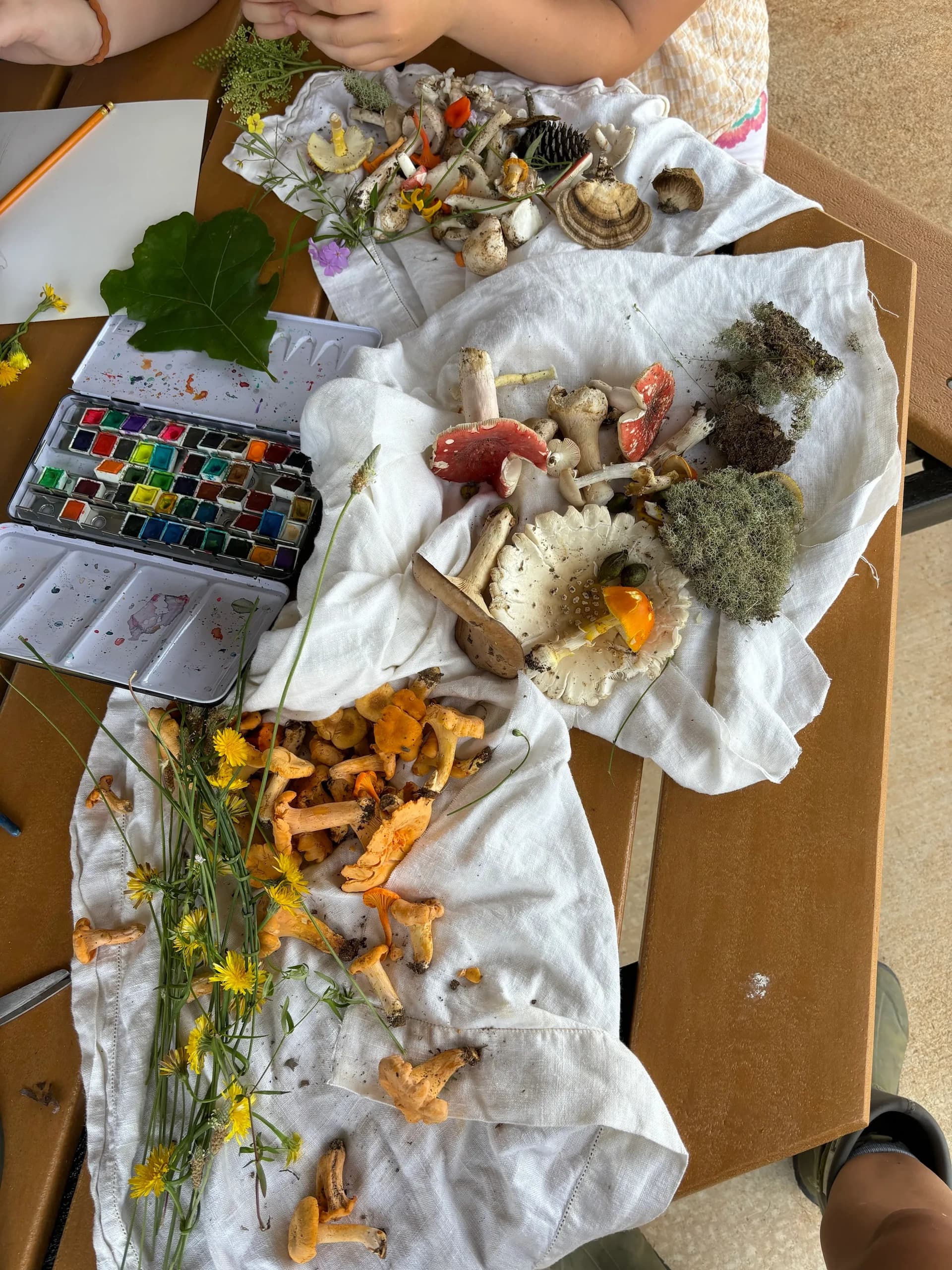 Art Workshops & Creative Adventures at Chattahoochee Valley
