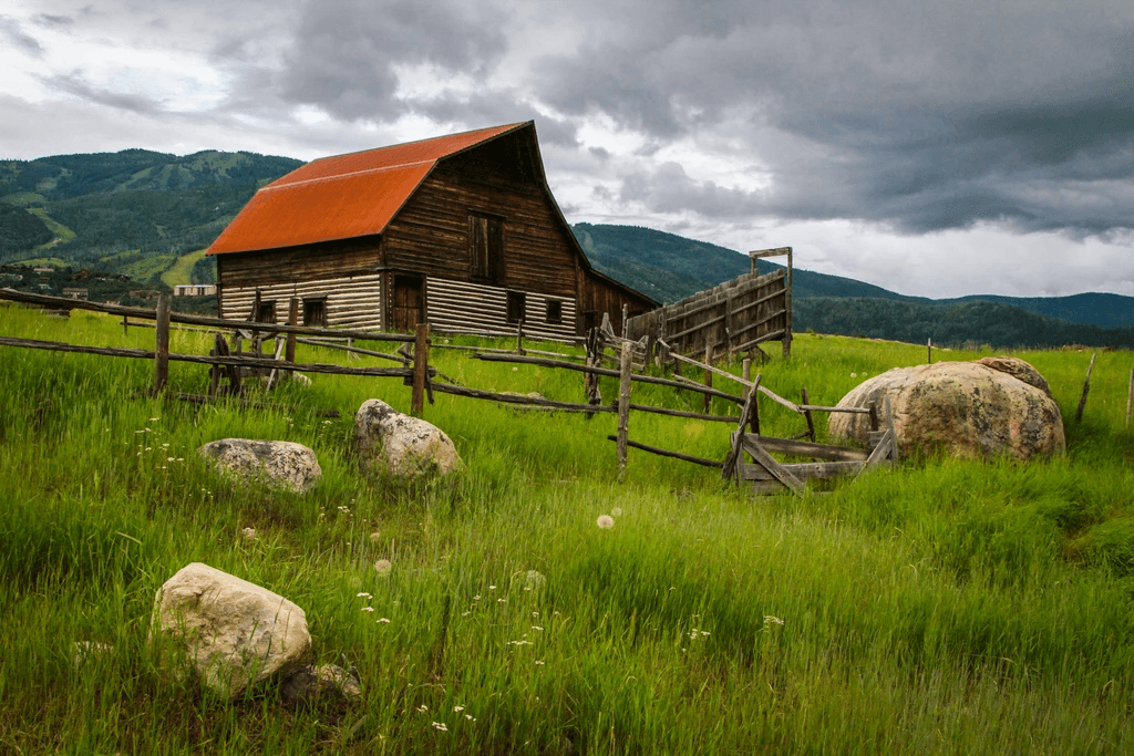 Land Adventures: Denver to Steamboat with Scout