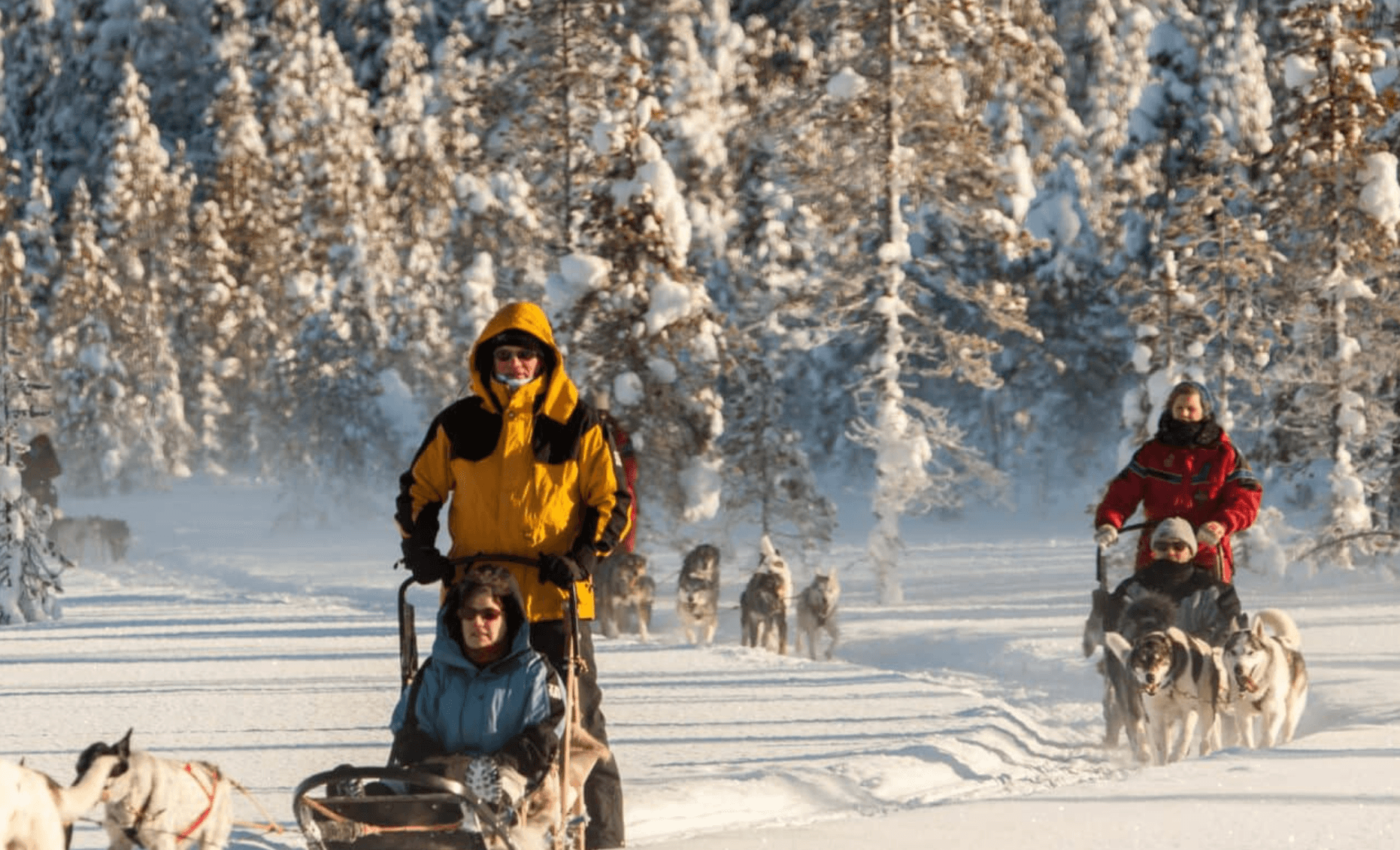 Drive-Your-Own-Husky-Sled-Across-Syöte’s-Frozen-Lakes