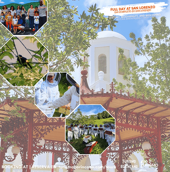 San Lorenzo Beekeeping and Biodiversity Day Tour: Hands-On Honey, History & Mountain Culture