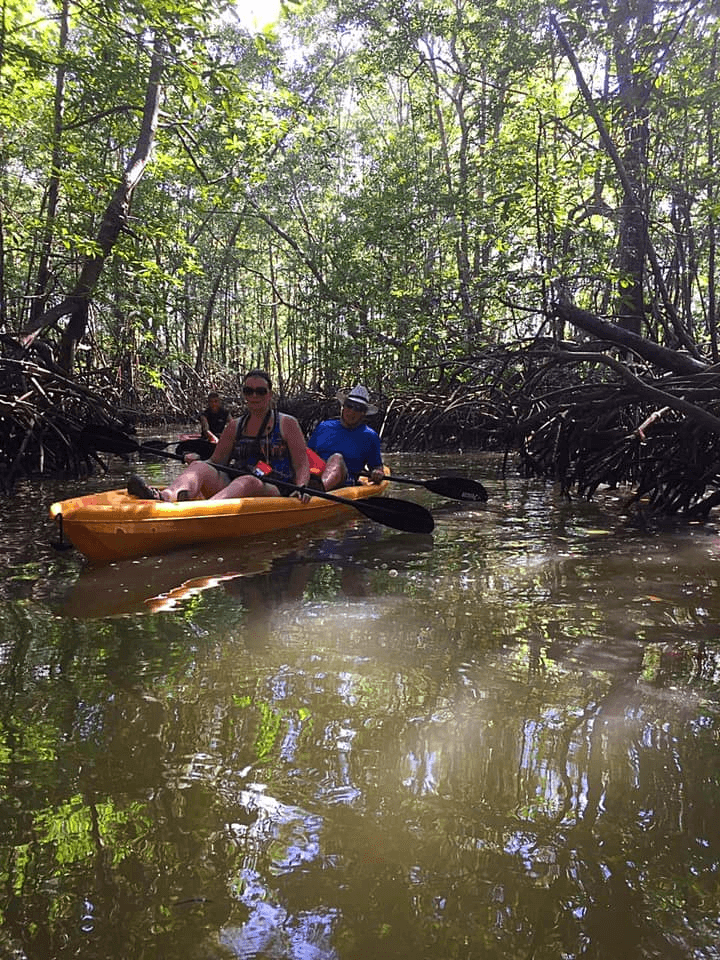 Kayak the Whale’s Tail with Life at the Sea Tours