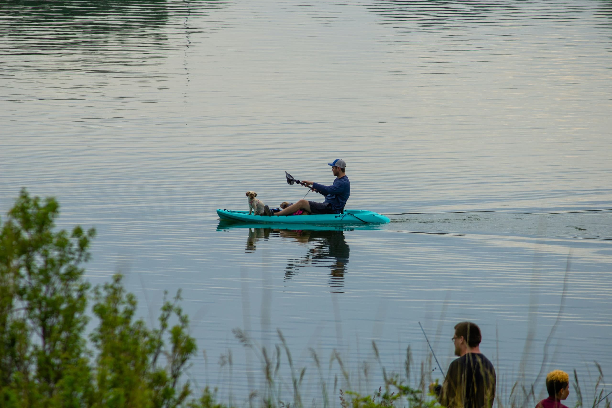 Water Activities with Dogs in Seville - Paddle Surf Sevilla