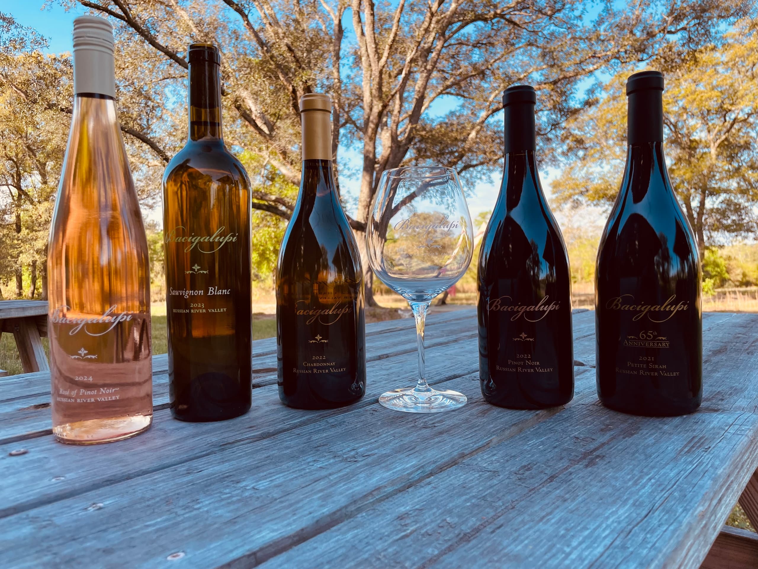 Bottles of wine on picnic table at sunlit vineyard tasting