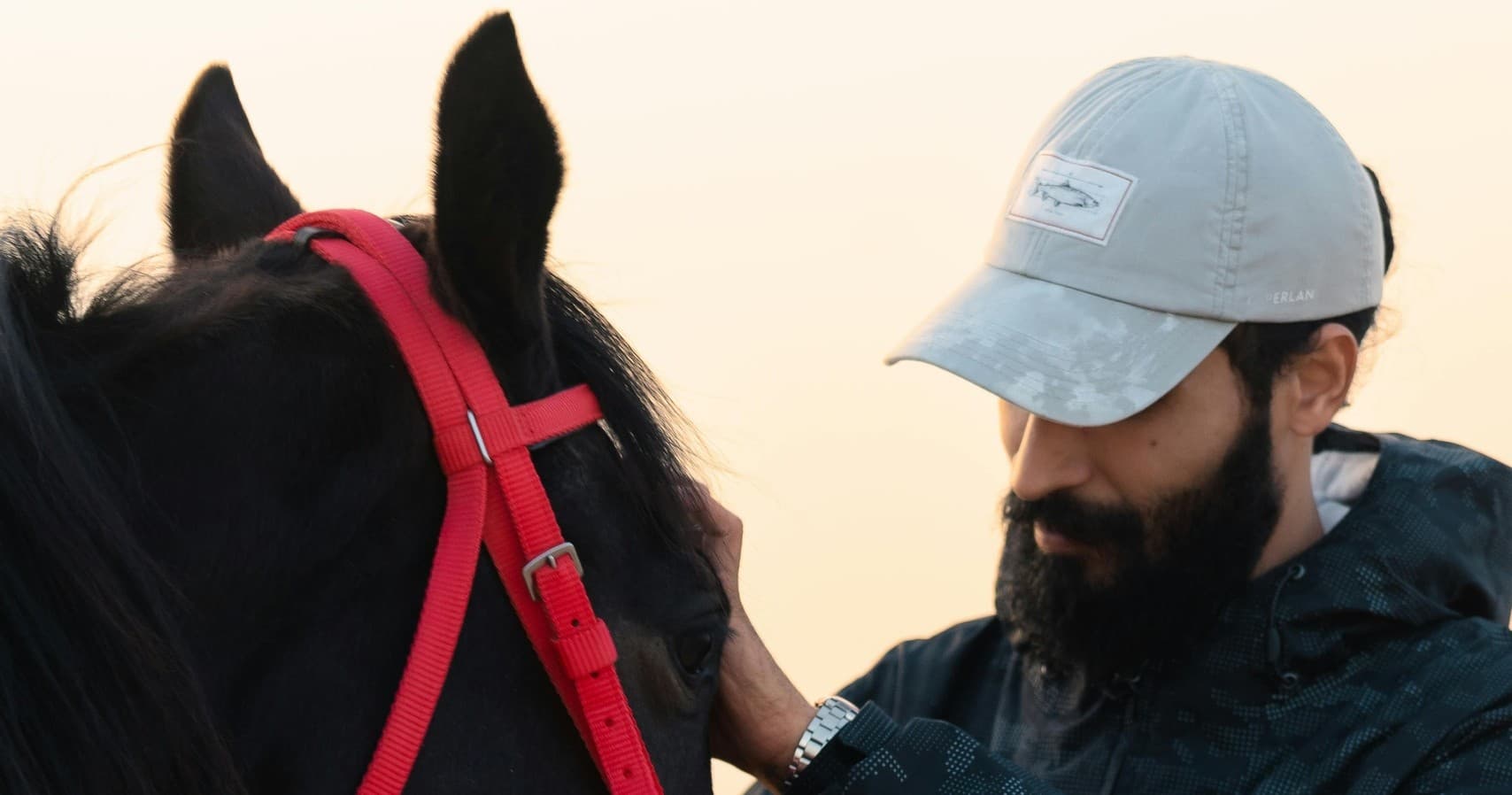 Veteran Course Galena: Equine-Assisted Transition for Veterans Near Galena, IL