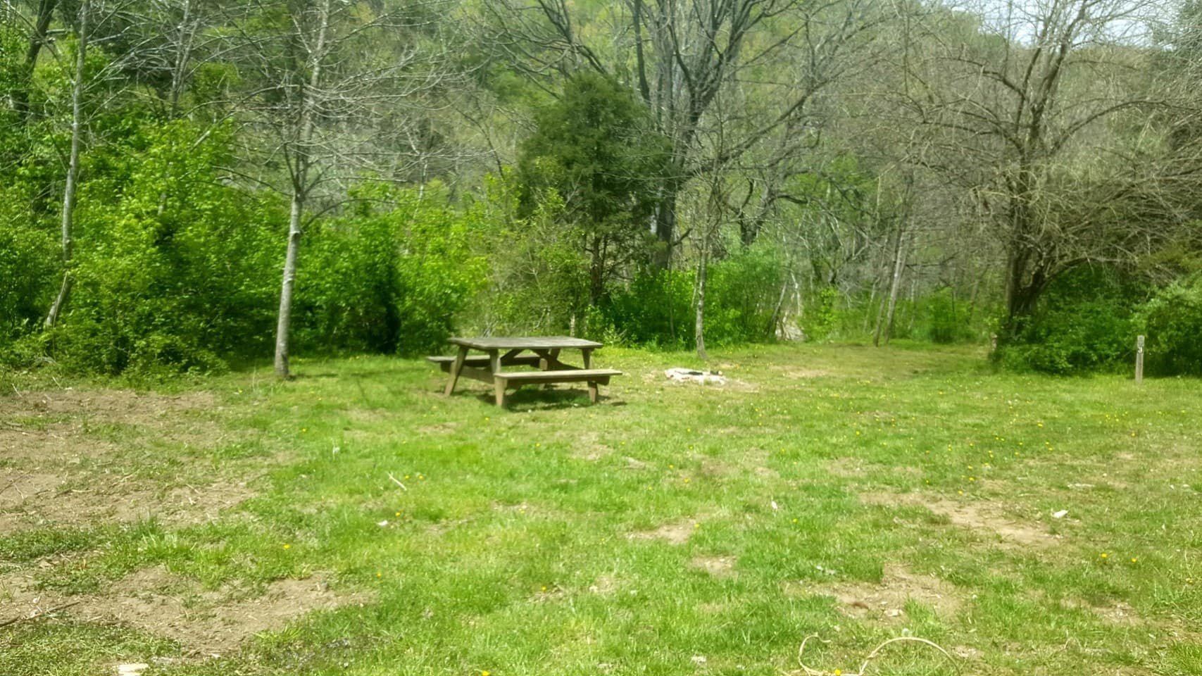 Riverside Serenity at Arcadia Campground: Tent Camping in Buchanan, Virginia