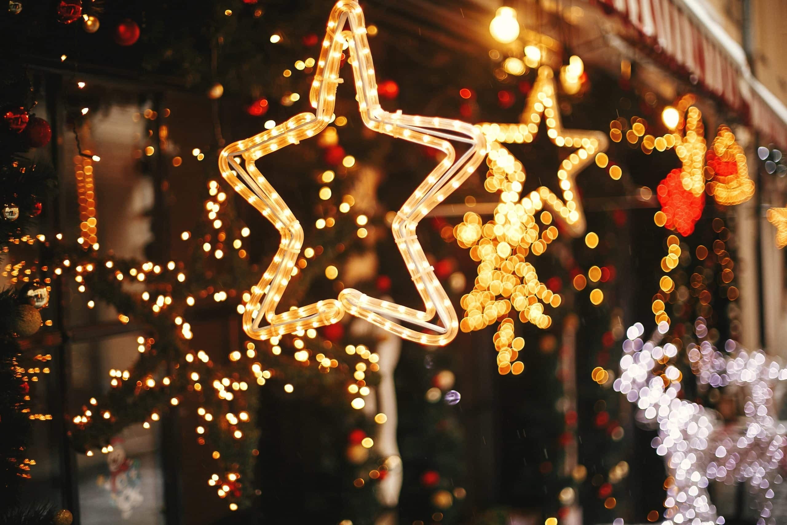 Holiday Land-Adventures in Asheville: Festive Tuk Tuk Sleigh Ride
