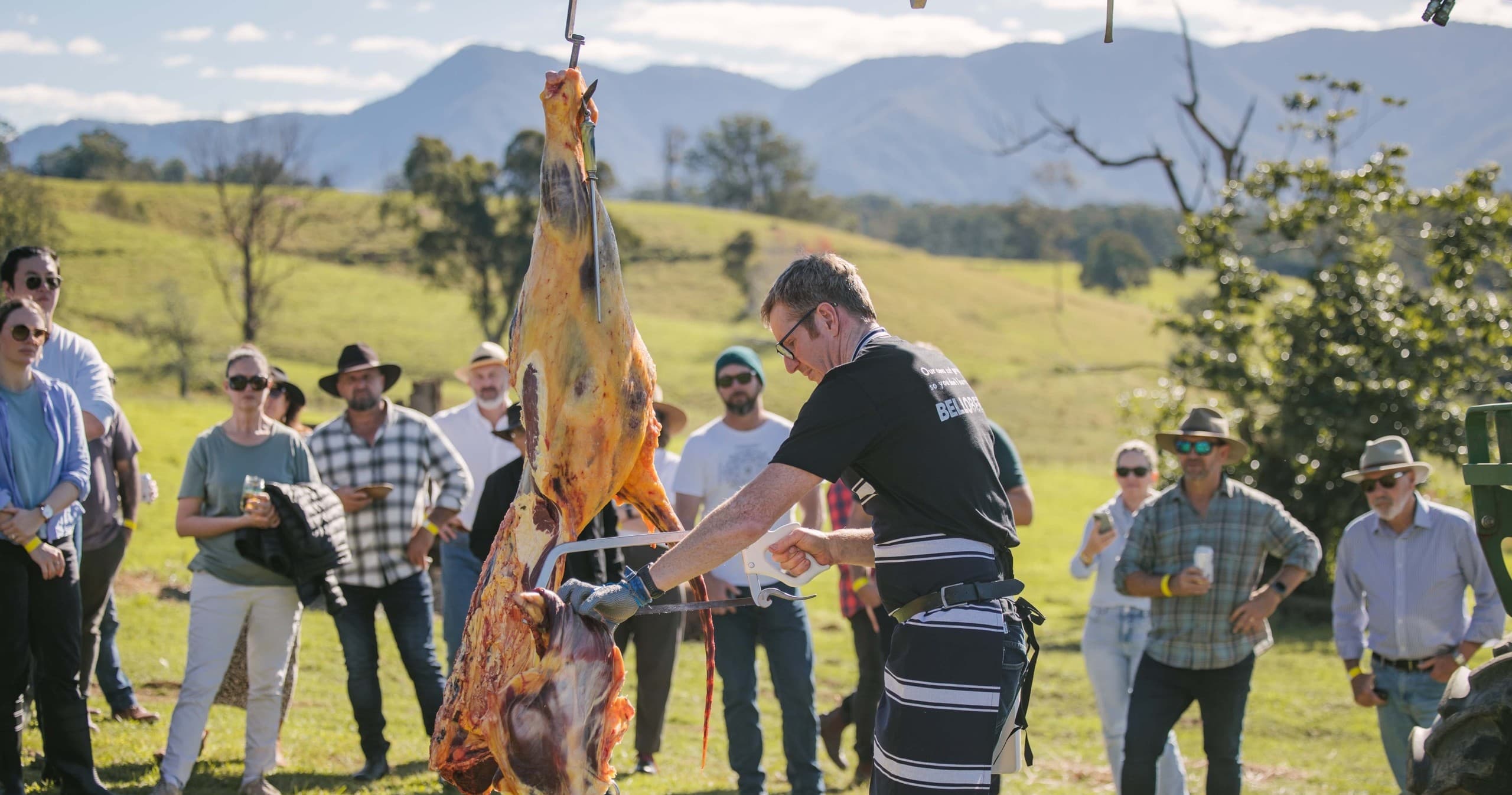 Nose to Tail Butchery at Bello Beef — Hydes Creek Farm Tour and Whole-Carcass Lessons